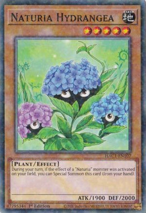 Naturia Hydrangea (Duel Terminal) (Duel Terminal Technology Common) [HAC1-EN107] 1st Edition