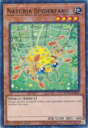 Naturia Spiderfang (Duel Terminal) (Duel Terminal Technology Common) [HAC1-EN098] 1st Edition