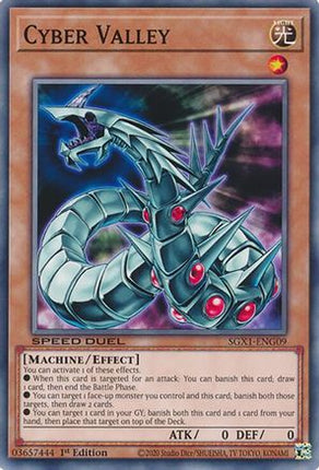 Cyber Valley [SGX1-ENG09] Common