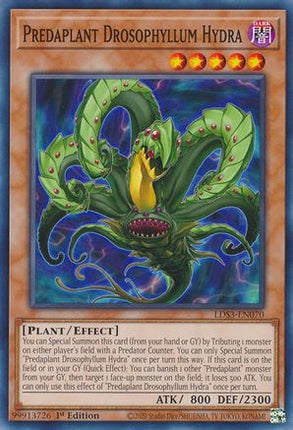 Predaplant Drosophyllum Hydra (Common / Short Print) [LDS3-EN070] 1st Edition
