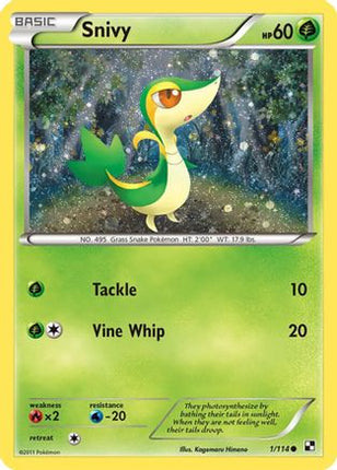Snivy - 1/114 (Cosmos Holo) [Miscellaneous Cards & Products] Holofoil