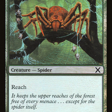 Canopy Spider [Tenth Edition] Foil