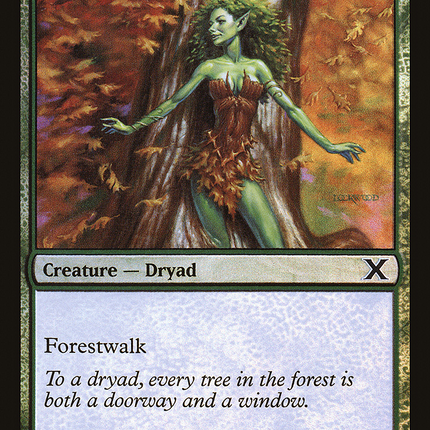 Rushwood Dryad [Tenth Edition] Foil