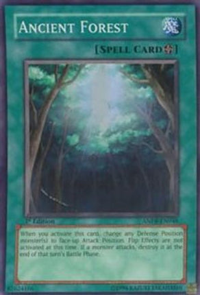 Ancient Forest (Super Rare) [ANPR-EN048] Ancient Prophecy 1st Edition