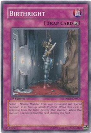 Birthright (Common / Short Print) [SDWS-EN037] Structure Deck: Warriors' Strike 1st Edition