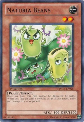 Naturia Beans (Common / Short Print) [DREV-EN028] Duelist Revolution 1st Edition