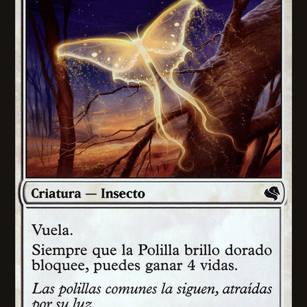 Goldenglow Moth - Polilla brillo dorado  [Salvat 2011]