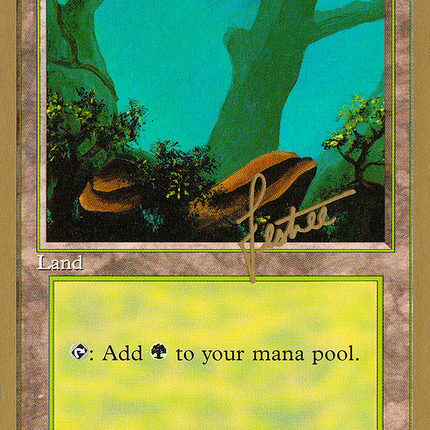 Forest (BL378) [Pro Tour Collector Set]