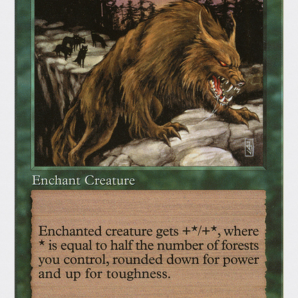 Aspect of Wolf [Fifth Edition]