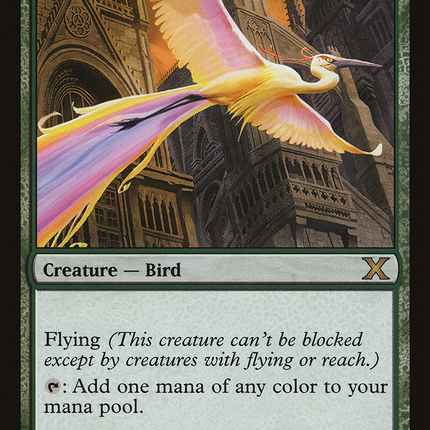 Birds of Paradise [Tenth Edition]