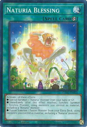 Naturia Blessing (Common / Short Print) [DABL-EN064] 1st Edition