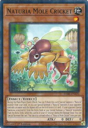 Naturia Mole Cricket (Common / Short Print) [DABL-EN020] 1st Edition