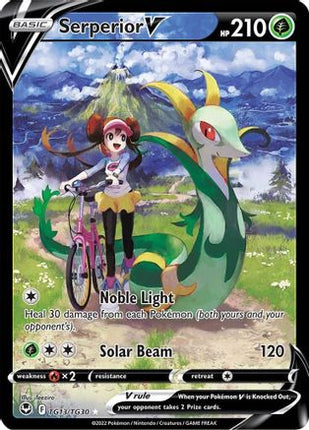 Serperior V - TG13/null [SWSH12: Silver Tempest Trainer Gallery] Holofoil