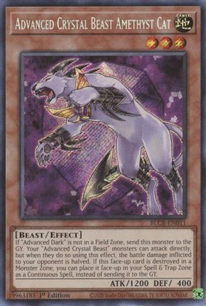 Advanced Crystal Beast Amethyst Cat (Secret Rare) [BLCR-EN011] 1st Edition