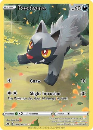 Poochyena - GG33/null [Crown Zenith: Galarian Gallery] Holofoil