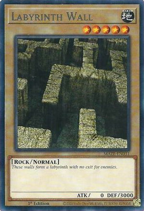 Labyrinth Wall (Rare) [MAZE-EN031] 1st Edition