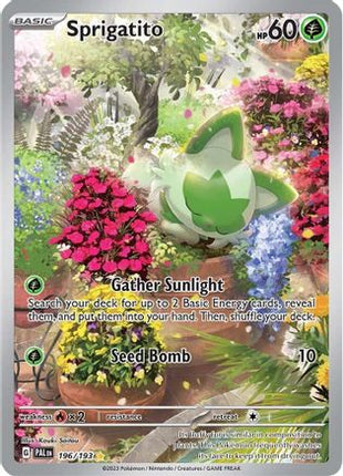 Sprigatito - 196/193 [SV02: Paldea Evolved] Holofoil