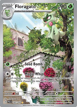 Floragato - 197/193 [SV02: Paldea Evolved] Holofoil