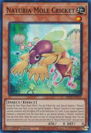 Naturia Mole Cricket (Super Rare) [MP23-EN170] 1st Edition