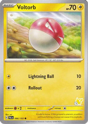 Voltorb Pikachu 66- Battle Academy 2024