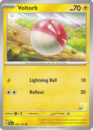 Voltorb Pikachu 66- Battle Academy 2024