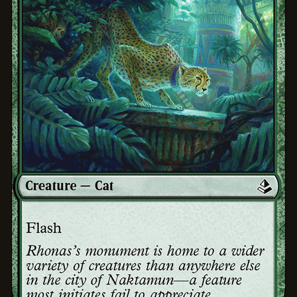 Pouncing Cheetah [The List]