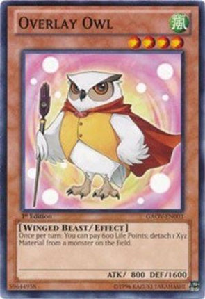 Overlay Owl (Common / Short Print) [GAOV-EN003] Unlimited