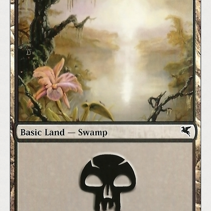 Swamp (020) [Hachette UK]