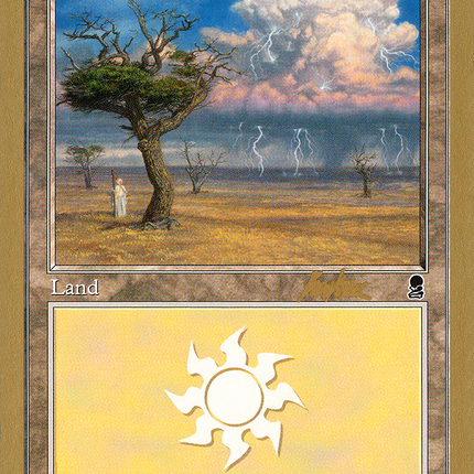 Plains (BK333) [World Championship Decks 2002]