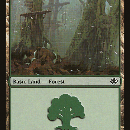 Forest (029) [Duel Decks: Garruk vs. Liliana]