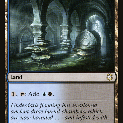Darkwater Catacombs [Forgotten Realms Commander]