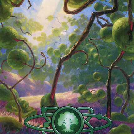 Forest (239) (Borderless) [Unfinity]