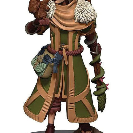 Dungeons & Dragons: Icons of the Realms - Female Human Druid Premium Painted Miniature