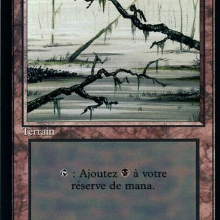 Swamp - Marais  (300) [Foreign Black Border]