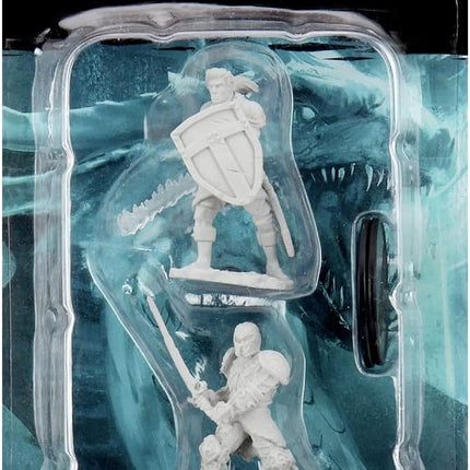 D&D Nolzurs Marvelous Miniatures - Human Fighter Male