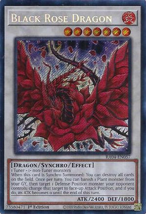 Black Rose Dragon  [RA04-EN057] Secret Rare 1st Edition