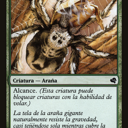 Giant Spider - Araña gigante  [Salvat 2011]