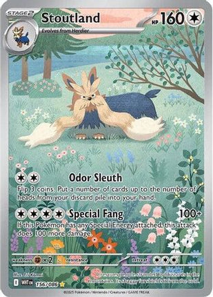 Stoutland - 156/086 [SV: White Flare] Holofoil