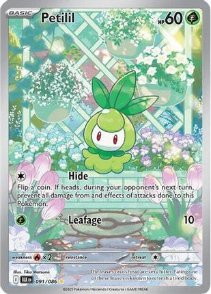 Petilil - 091/086 [SV: Black Bolt] Holofoil