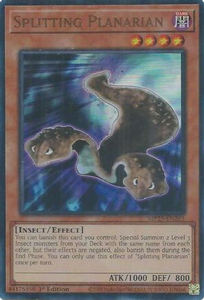 Splitting Planarian [MP25-EN263] Ultra Rare 1st Edition