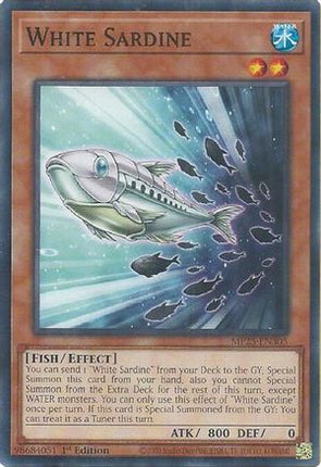 White Sardine [MP25-EN305] Common / Short Print 1st Edition