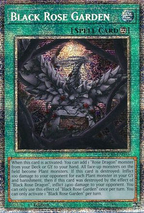 Black Rose Garden  [DOOD-EN055] Starlight Rare 1st Edition