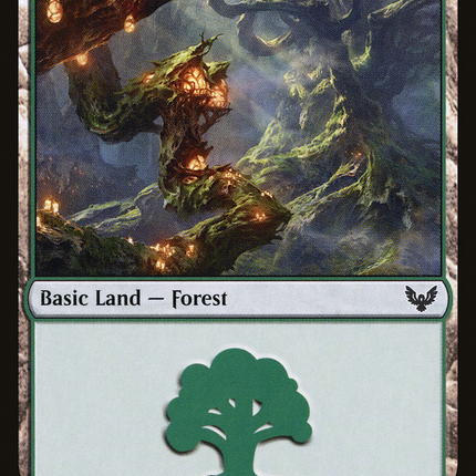 Forest (375) [Strixhaven: School of Mages]