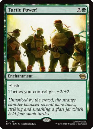 Turtle Power! [Teenage Mutant Ninja Turtles] Foil
