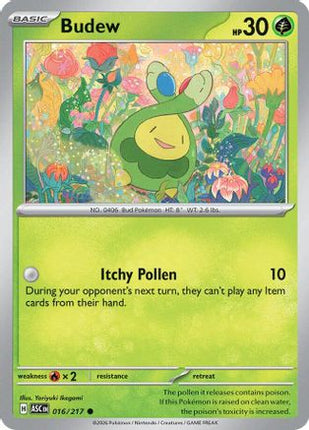 Budew - 016/217 [ME: Ascended Heroes] Reverse Holofoil