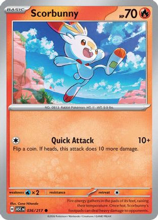 Scorbunny - 036/217 [ME: Ascended Heroes] Reverse Holofoil