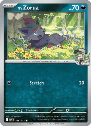 N's Zorua - 136/null [ME: Ascended Heroes]
