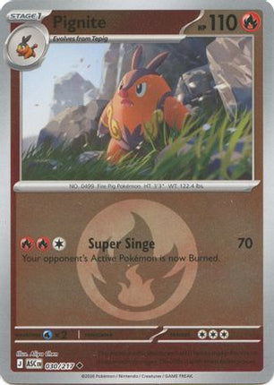 Pignite (Energy Symbol Pattern) - 30/null [ME: Ascended Heroes] Reverse Holofoil