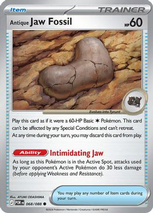 Antique Jaw Fossil - 68/null [ME03: Perfect Order]