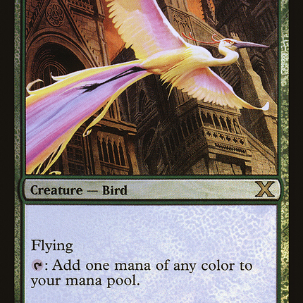 Birds of Paradise [Tenth Edition] Foil